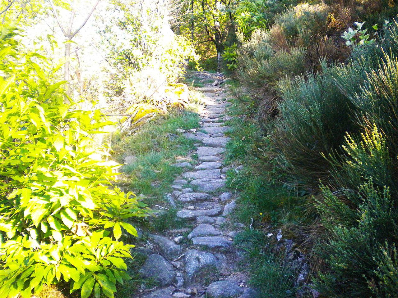 Le Chemin Férré, une des deux randonnées balisées du village